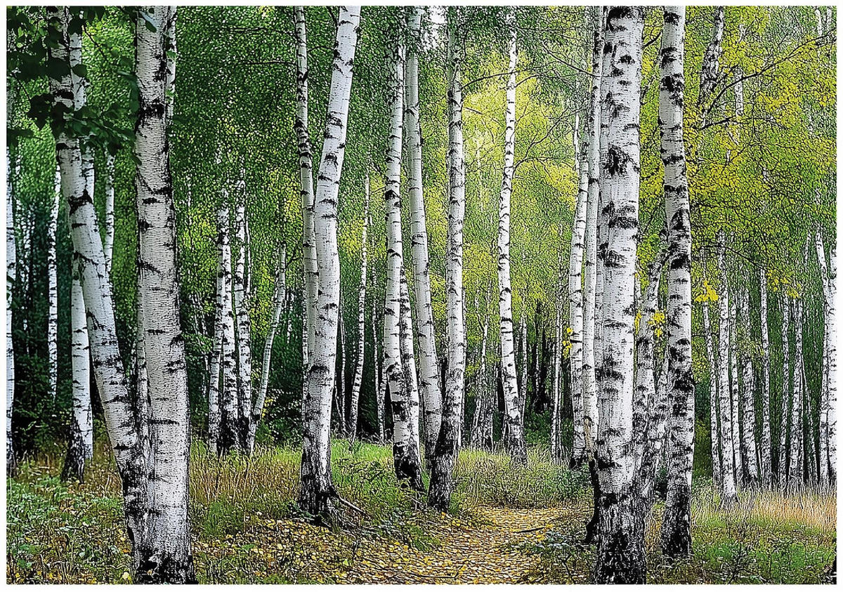 FOTOTAPETE 3D Effekt Wald Bäume Natur Tapete Wohnzimmer 350x250 - Multicolor, Papier (350/250cm) - Wallarena