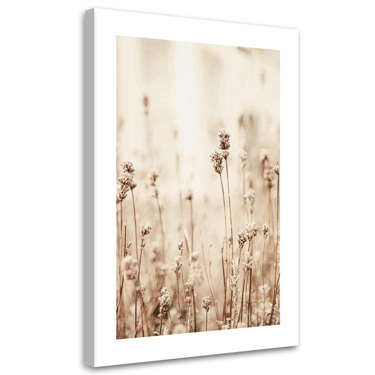 WANDBILD zarte feldblumen - Beige, Textil (40/60cm) - Feeby