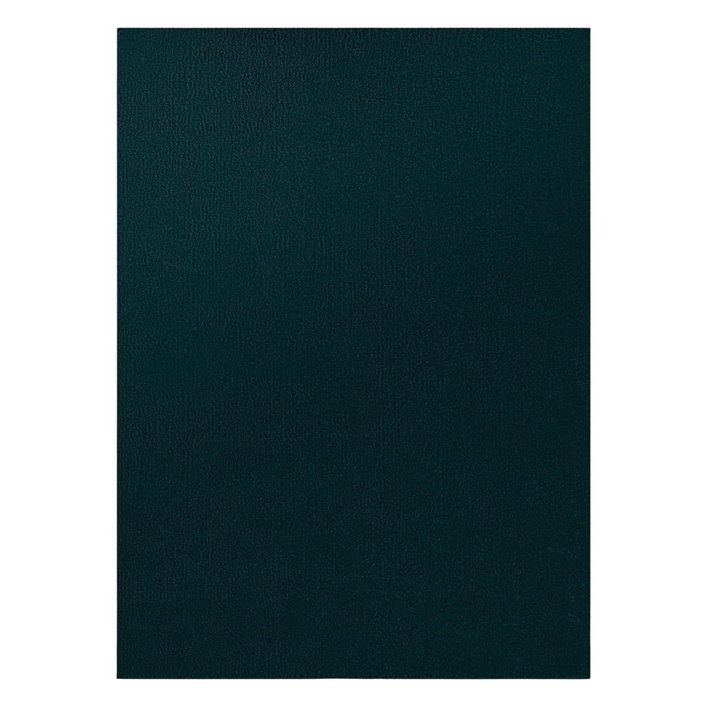 Thumbnail - rugsX Teppich, Dunkelgrün, Textil, Rechteckig, 80x150 cm, Teppiche & Böden, Teppiche