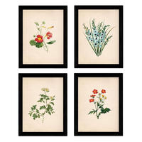 POSTER Set mit 4 Botanischen Stils Sensitive A3 Rahmenlos - Klar, Papier (29.7/3cm) - Nacnic