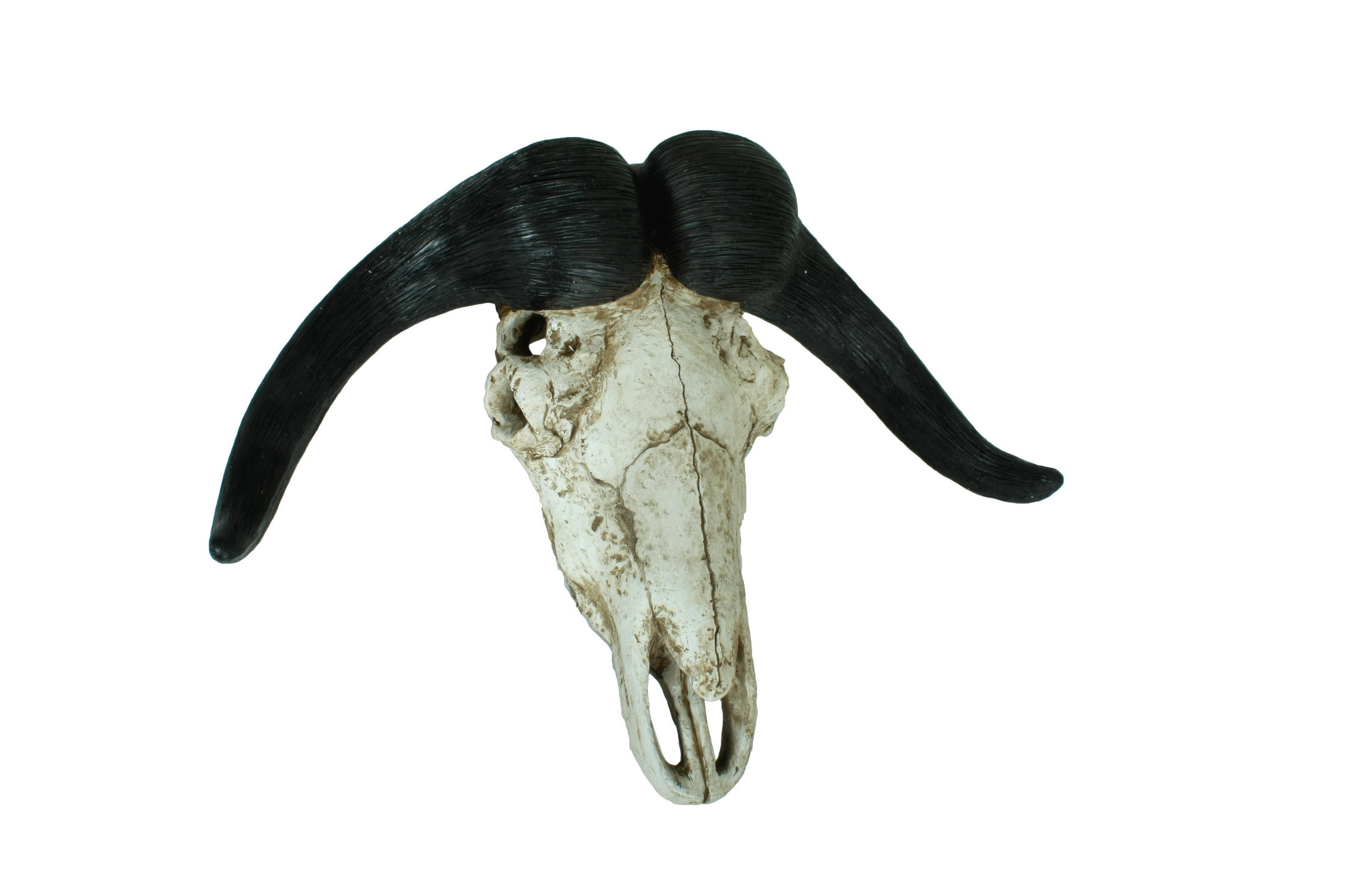 DEKO-GEWEIH Büffel Natur 49x65,5x21cm - Hellbraun, Kunststoff (65.5/49/21cm) - DELUKE
