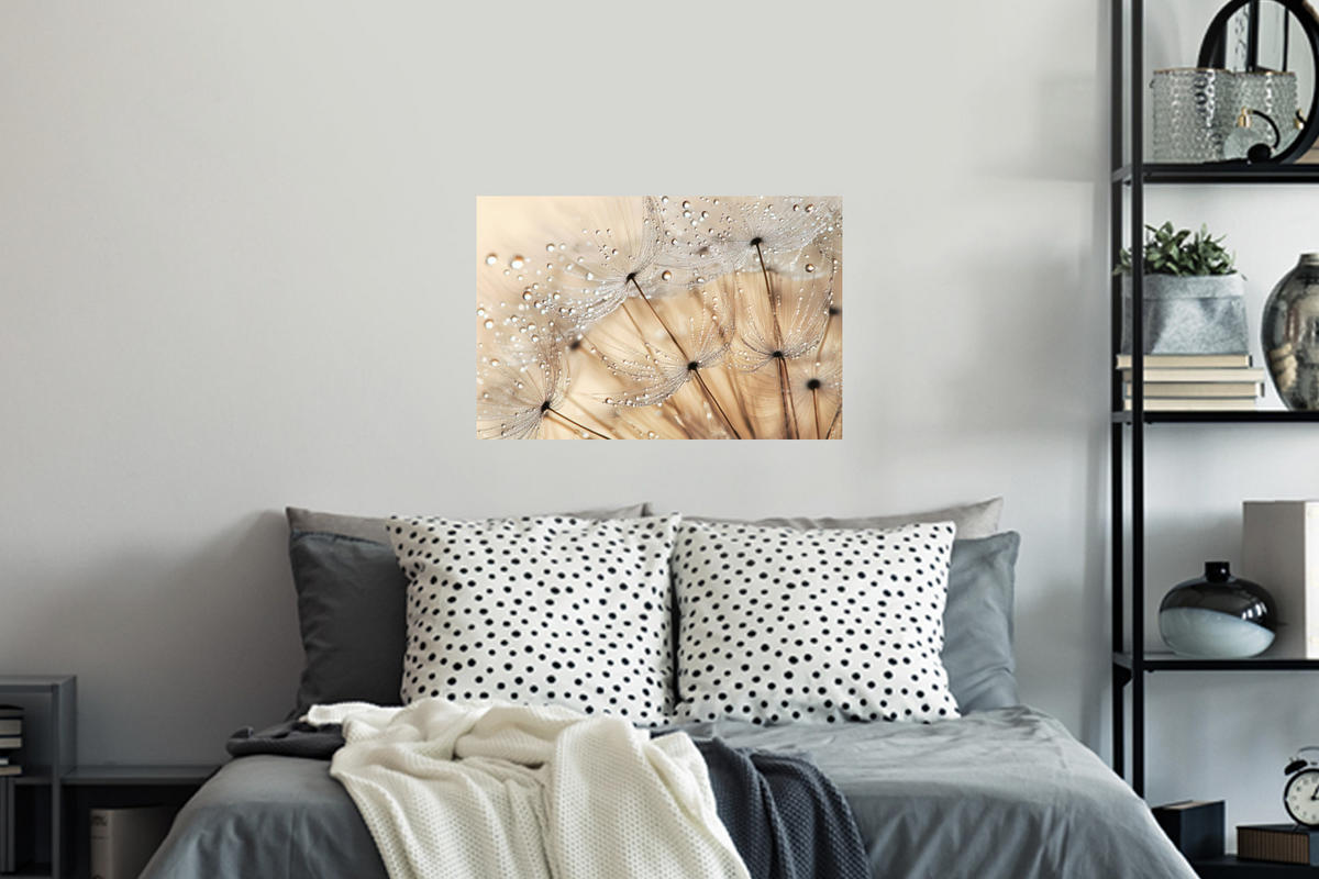WANDTATTOO Löwenzahn - Abstrakt - Natur - Beige 60x40 cm - Braun, Kunststoff (60/40/0.1cm) - MuchoWow