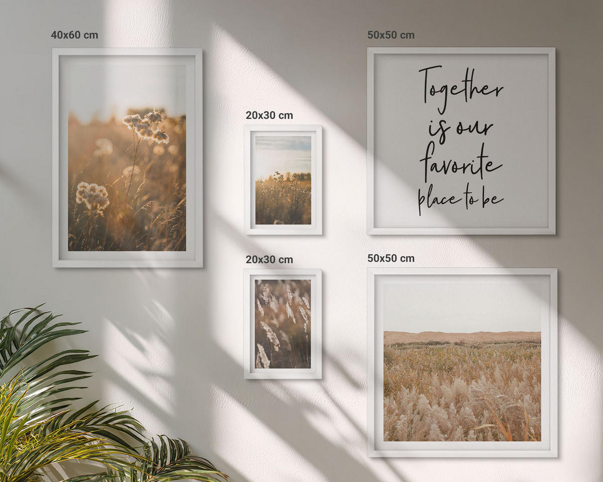 BILDER SET 5er Set - 50x50 cm & 20x30 cm & 40x60 cm Weißer Rahmen - Landschaftsgrasblumen Wärme - Weiß, Kunststoff (40/60cm) - TULUP