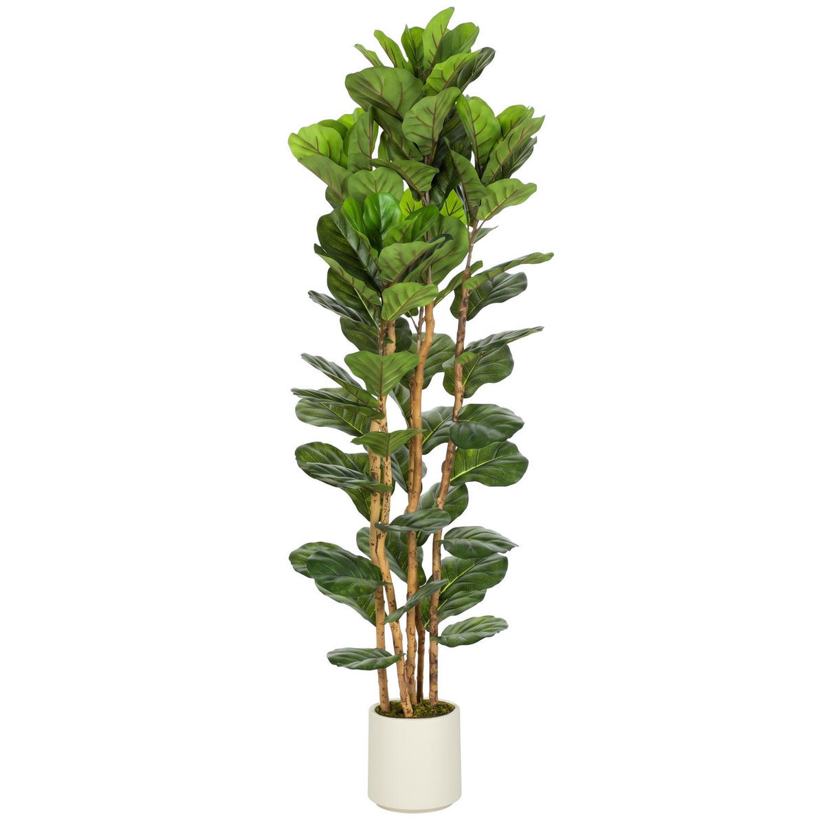 KÜNSTLICHE Pflanzen Grün 55.0/55.0/180.0cm - Grün, Kunststoff (180cm)