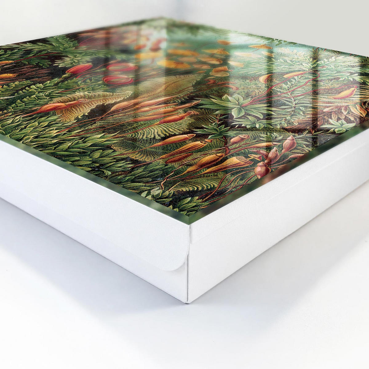 SCHLÜSSELBOX Weiß 30x30 cm – Türöffnung nach rechts - Grüne Blätter - Grün, Metall (30/30/5cm) - TULUP