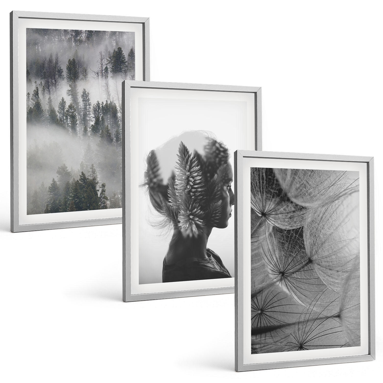 BILDER SET 3er Set - 40x60 cm Silberner Rahmen - Waldnebelporträt Baum Löwenzahn - Silberfarben, Kunststoff (40/60cm) - TULUP