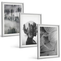 BILDER SET 3er Set - 40x60 cm Silberner Rahmen - Waldnebelporträt Baum Löwenzahn - Silberfarben, Kunststoff (40/60cm) - TULUP