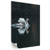 POSTER - 29x42 cm - Opium - Schwan im Wasser - Schwarz, Textil (29/42/0.1cm) - TULUP