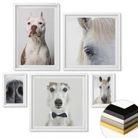 WANDBILDER 5er-Set - 50x50 cm & 20x30 cm & 40x60 cm Weißer Rahmen - Elegante Porträts von Hunden und Pferden - Weiß, Kunststoff (40/60cm) - ArtPrintCave