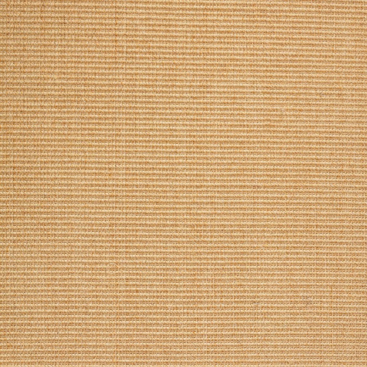 TEPPICH Sisal Manaus chablis/beige 300x300cm - Beige/Naturfarben, Textil (300/300cm) - Astra