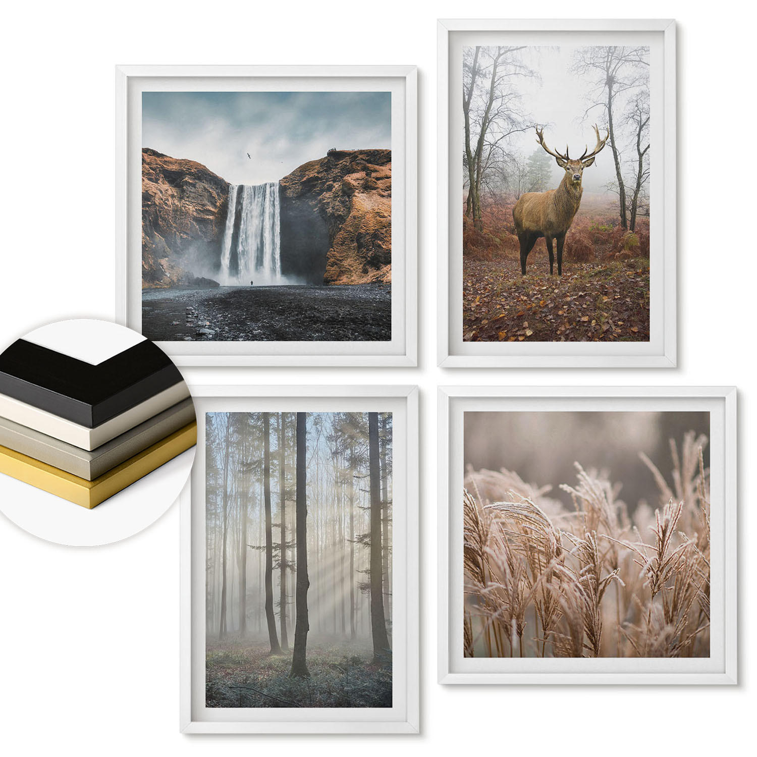 WANDBILDER 4er-Set - 50x50 cm & 40x60 cm Weißer Rahmen - Waldlandschaften der Wildnis - Weiß, Kunststoff (50/50cm) - ArtPrintCave