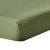 SPANNBETTLAKEN Satin aus 100% Bio-Baumwolle - Grün, Textil (180/200cm) - Homescapes
