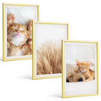 BILDER SET 3er Set - 40x60 cm Goldrahmen - Niedliche Tiere, Katzen, Hunde, Boho-Stil - Goldfarben, Kunststoff (40/60cm) - TULUP