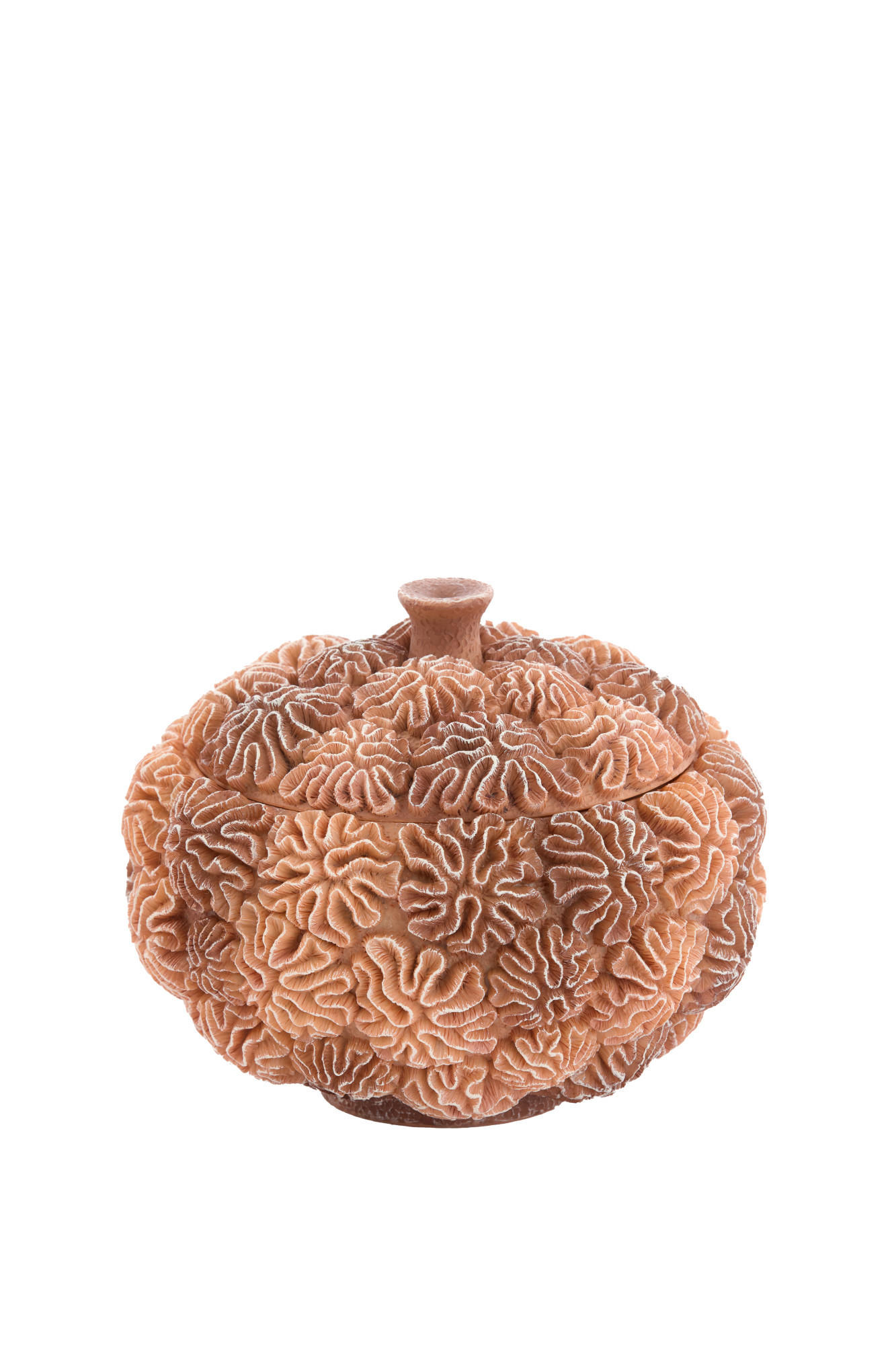 DEKO-DOSE Korallenbraun Ø20/15,5 cm - Braun, Kunststoff (20/15.5/20cm) - Light & Living