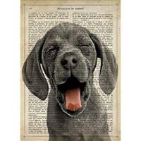 POSTER Dog Mit Der Zunge Draußen A4 Schwarzer Rahmen - Schwarz, Papier (29.7/5/21cm) - Nacnic