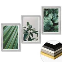 WANDBILDER 3er Set - 40x60 cm Silberner Rahmen - Ästhetische tropische Blätter - Silberfarben, Kunststoff (40/60cm) - ArtPrintCave