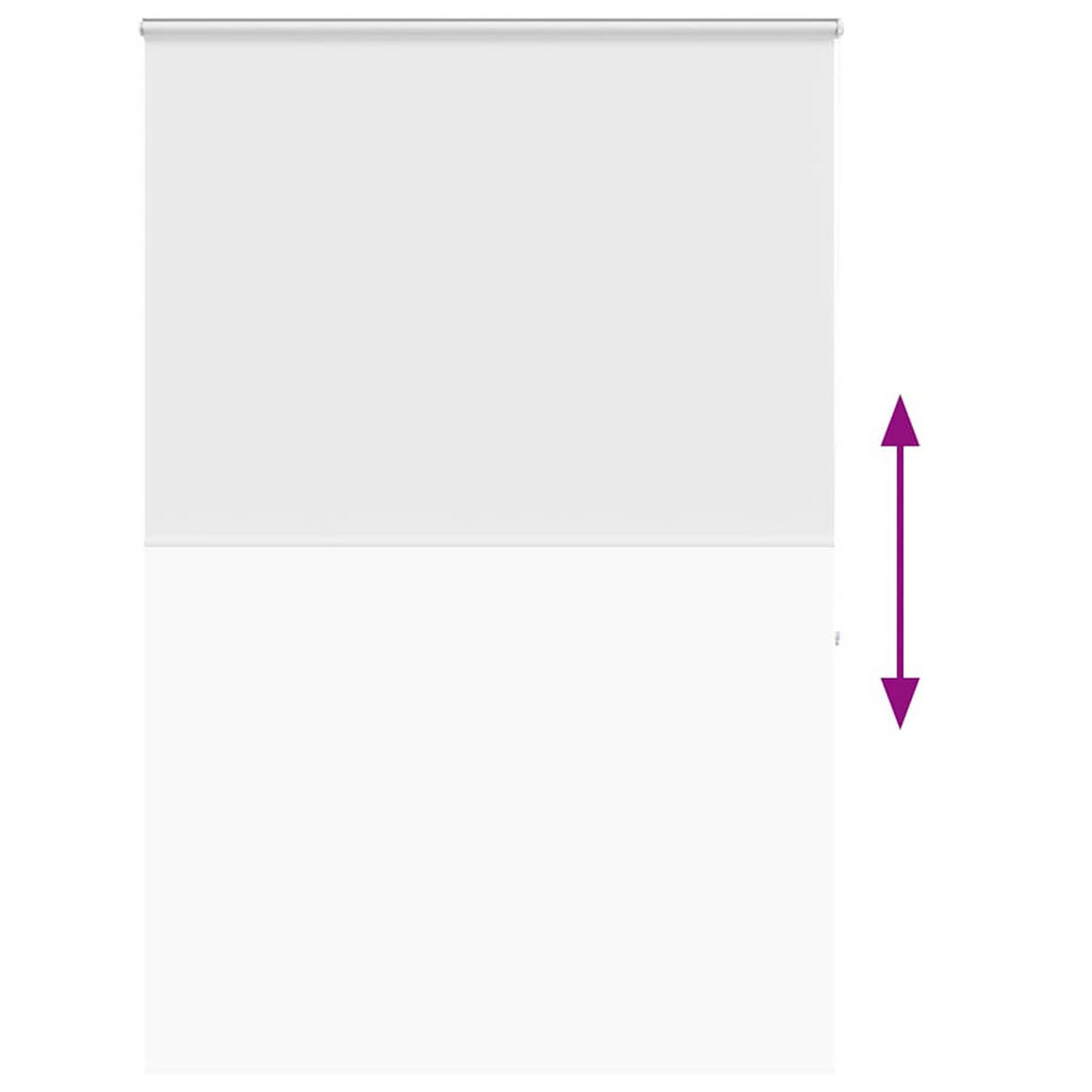 ROLLO für die Dusche 160/240 cm Stoffbreite 156 cm aus PEVA Weiß - Weiß, Kunststoff (160/240cm) - vidaXL