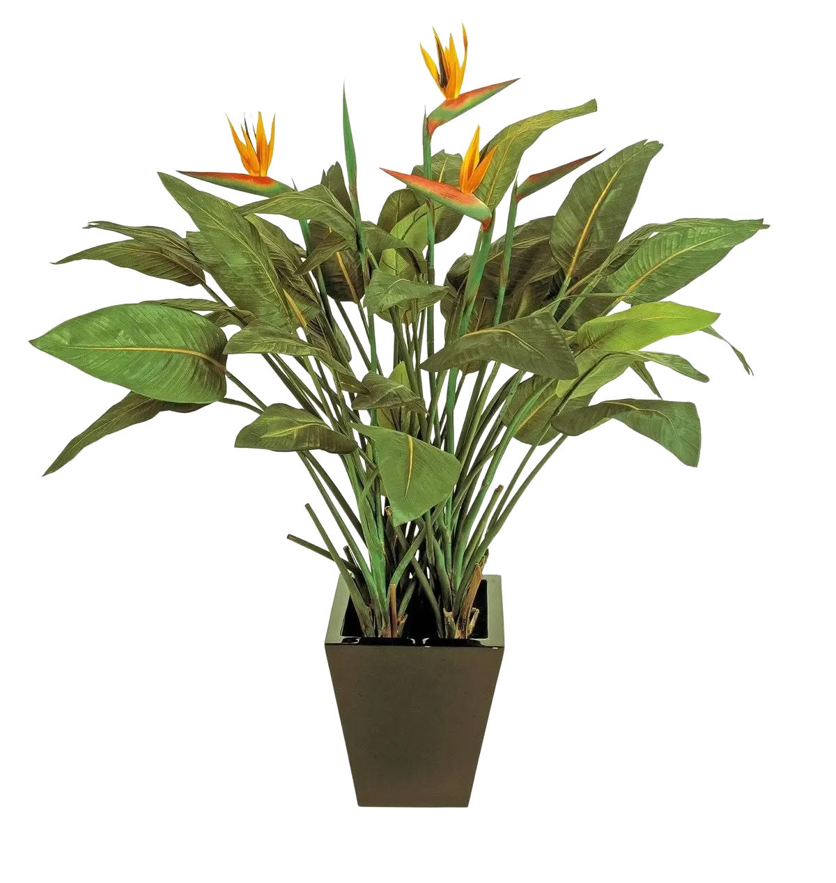 KÜNSTLICHE Strelitzia - Charlotte 130 cm - Grün, Kunststoff (130cm) - aplanta