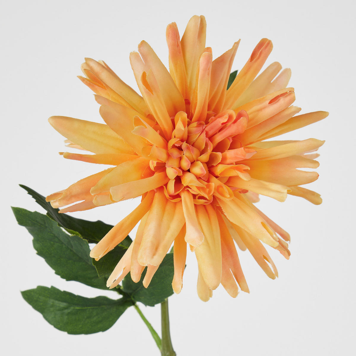 KUNSTBLUME Florista Dahlie - Polyethylen/Polyester - Rosa - Orange, Kunststoff (59cm) - Butlers