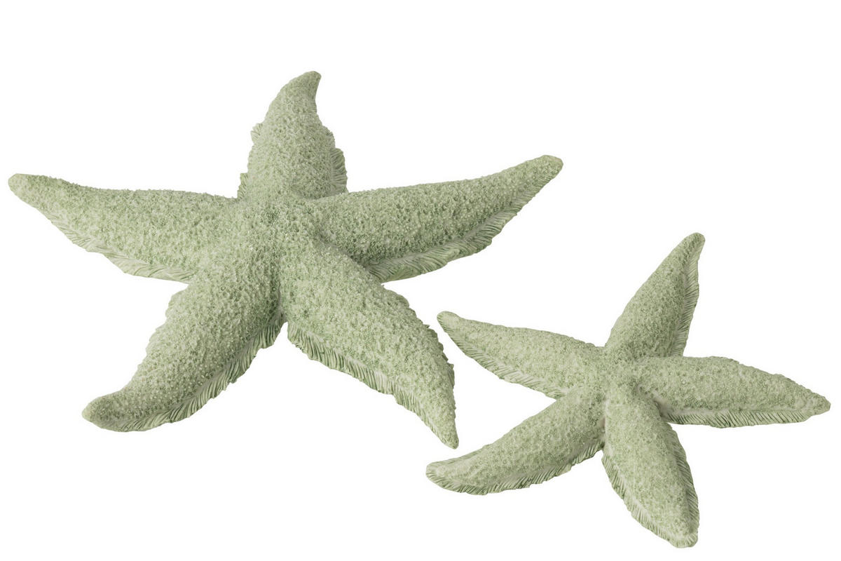 DEKOOBJEKT SEESTERN - Grün, Glas/Naturmaterialien (30/4/30cm) - J-Line