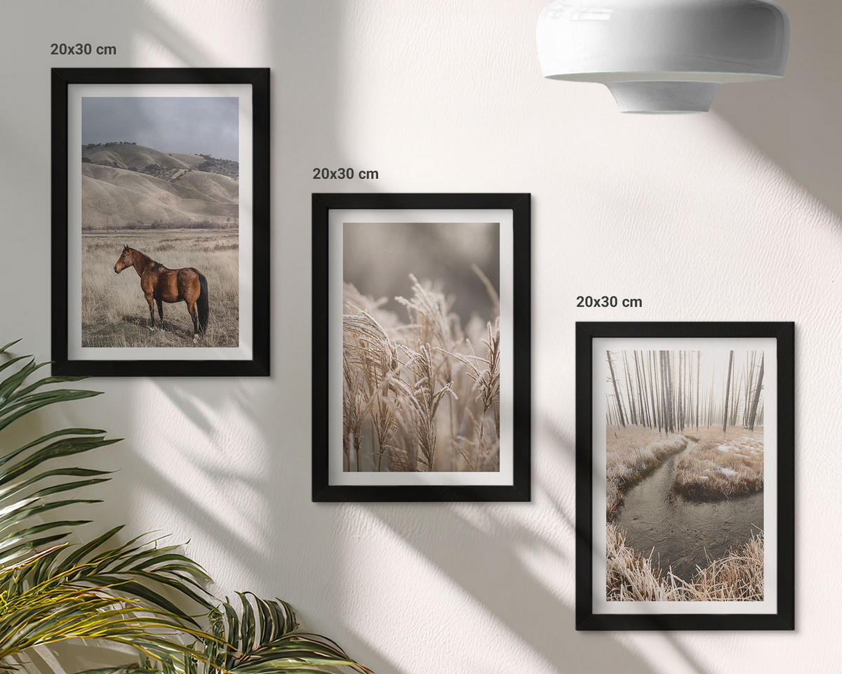 BILDER SET 3er Set - 20x30 cm Schwarzer Rahmen - Pferde, Landschaft, Gras, Bach - Schwarz, Kunststoff (20/30cm) - TULUP