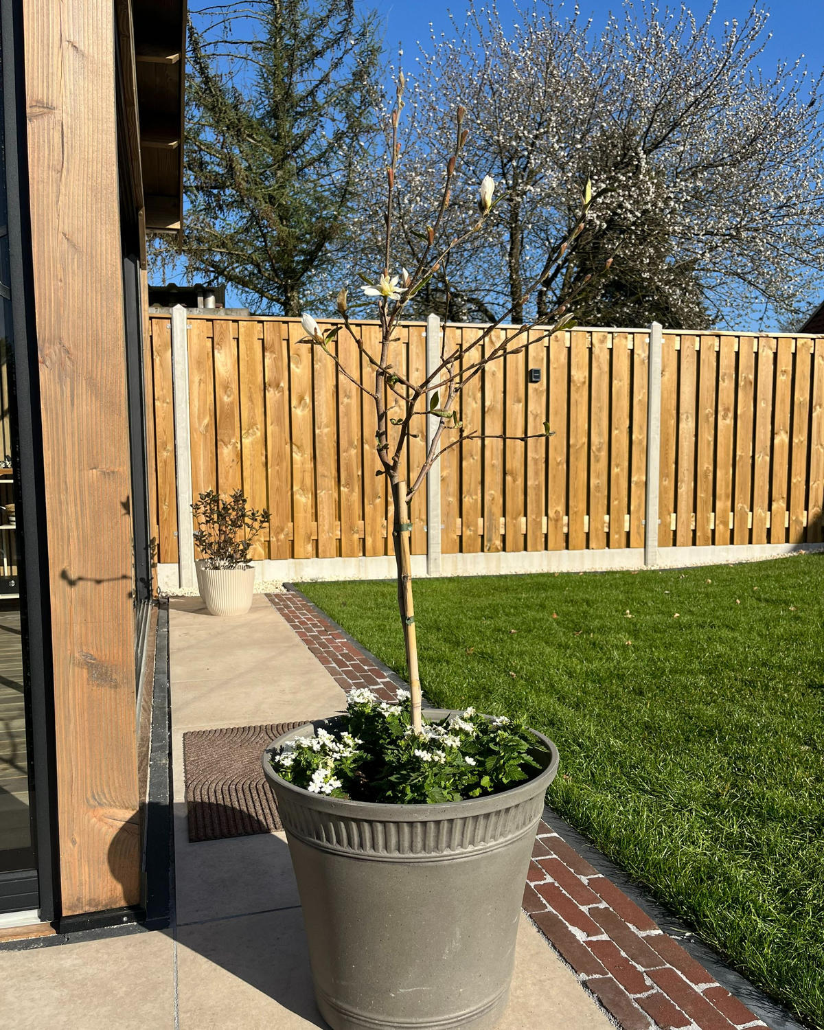 KVĚTINÁČ Šedý Cistus - šedá, plast (38cm) - Beliani