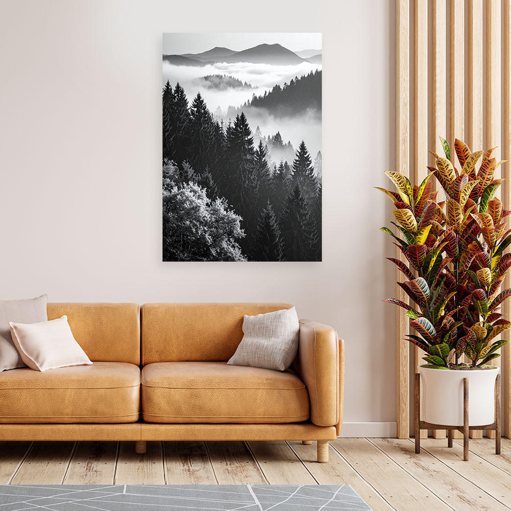 LEINWANDBILD Schwarz-weiße Berglandschaft 40x60cm - Schwarz, Textil (40/60cm) - Feeby