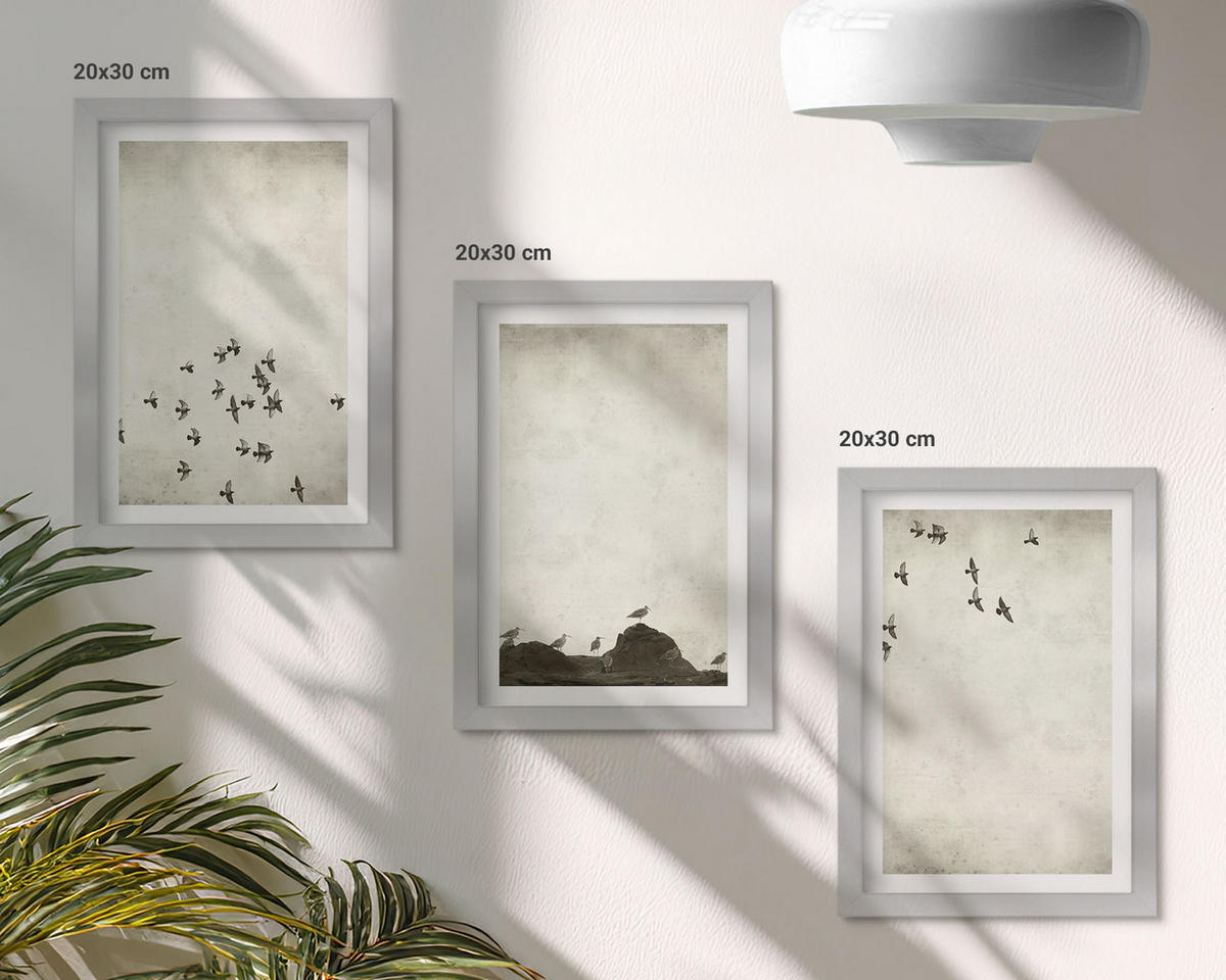 WANDBILDER 3er Set - 20x30 cm Silberner Rahmen - Vögel im Flug, minimalistischer Stil - Silberfarben, Kunststoff (20/30cm) - ArtPrintCave