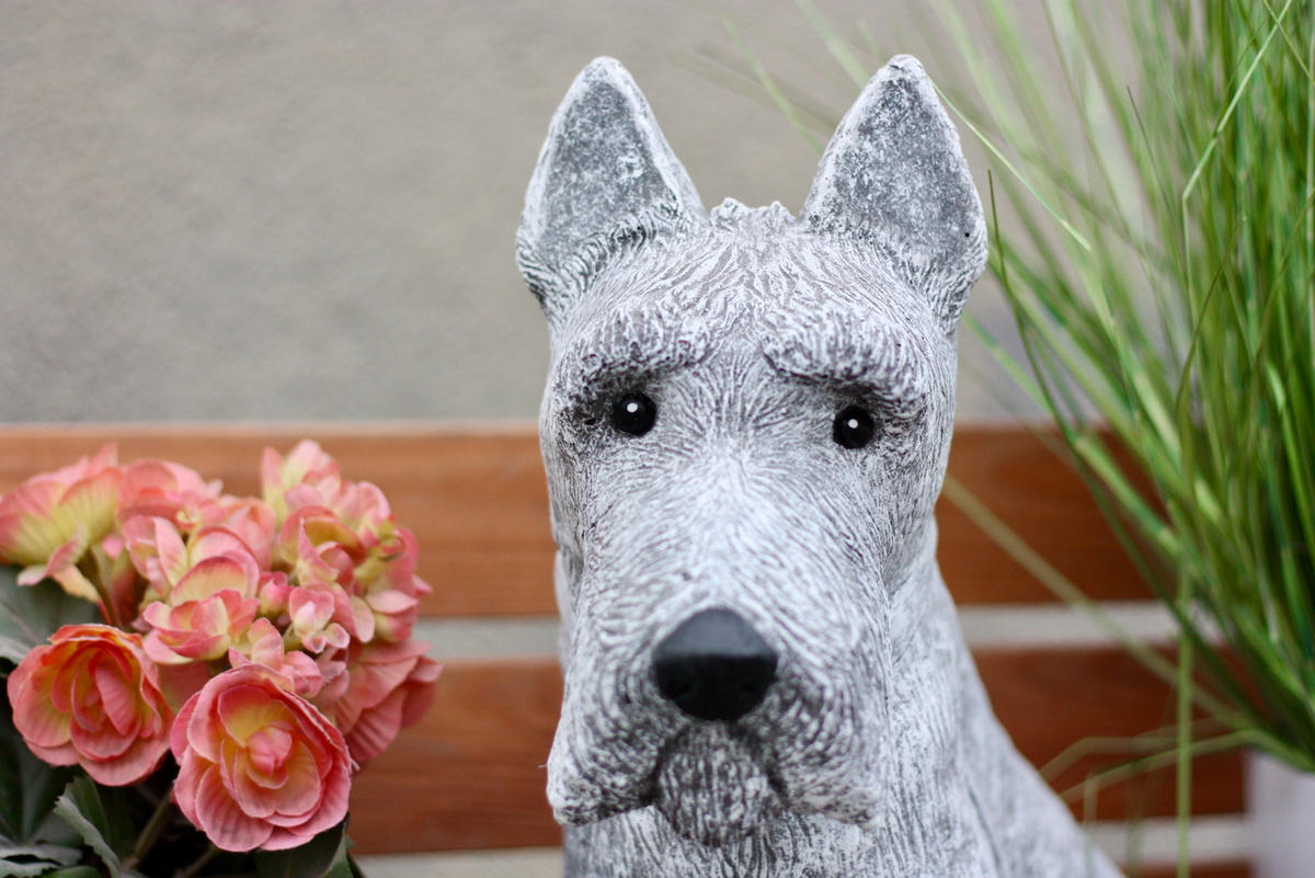 STEINFIGUR Schnauzer, Betonsteinguss - Grau, Stein (36/34/14cm) - stoneandstyle