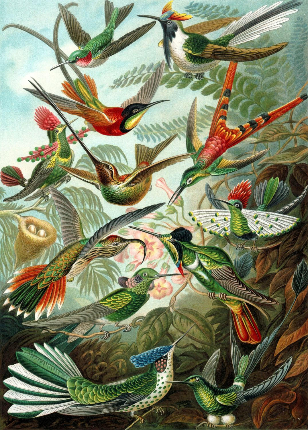 FOTOTAPETE Vögel 200 x 279 cm - Grün, Papier (200/279cm) - ESTAhome