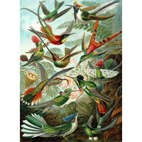 FOTOTAPETE Vögel 200 x 279 cm - Grün, Papier (200/279cm) - ESTAhome