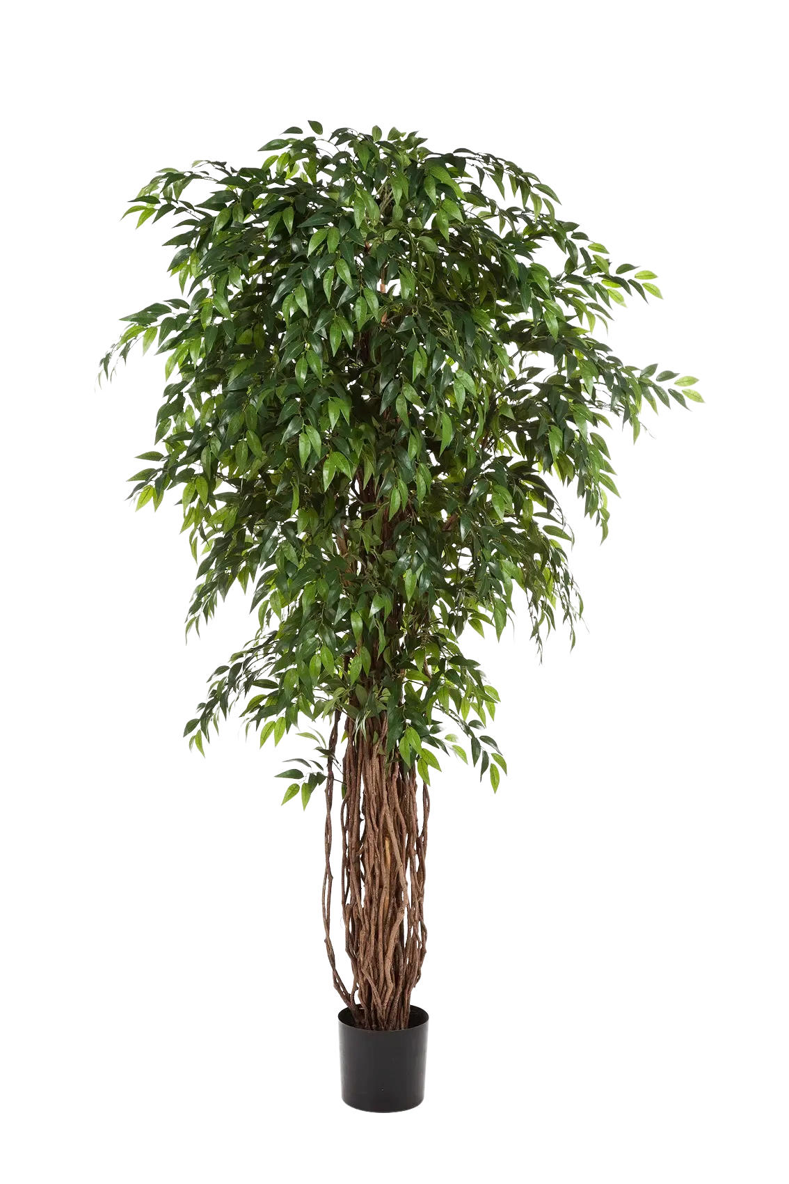 KUNSTBAUM Künstlicher Ficus - Jayden 210 cm - Grün, Kunststoff (210cm) - aplanta