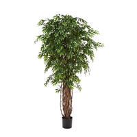 KUNSTBAUM Künstlicher Ficus - Jayden 210 cm - Grün, Kunststoff (210cm) - aplanta