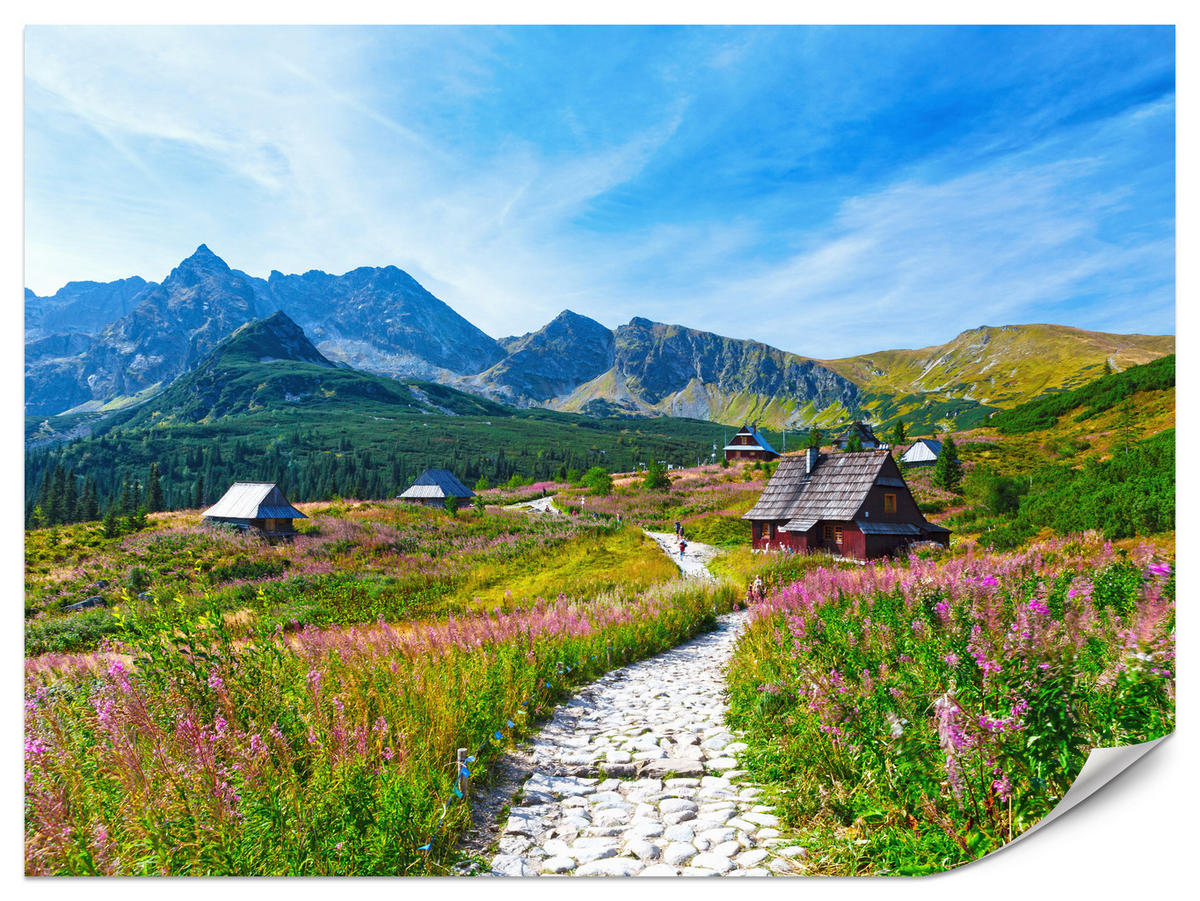 FOTOTAPETA Pre Obývaciu Izbu Kamenný Chodník Hory Stromy Rastliny Domy 100 x 70 cm - sivá/zelená, papier (100/70cm) - Muralo