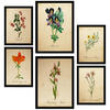 POSTER Set Mit 6 Botanica Frühlingszeit A3 & A4 Schwarzer Rahmen - Schwarz, Papier (29/3cm) - Nacnic