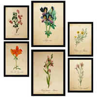 POSTER Set Mit 6 Botanica Frühlingszeit A3 & A4 Schwarzer Rahmen - Schwarz, Papier (29/3cm) - Nacnic