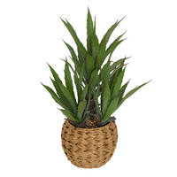 AGAVE in einem geflochtenen Topf Moda 50/45/61 cm - Grün, Kunststoff (61cm) - Atmosphera Createur d´interieur