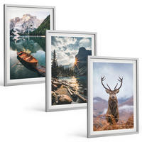 BILDER SET 3er Set - 40x60 cm Silberner Rahmen - Bergsee, Bootsfahrt, Sonnenuntergang, Hirsche - Silberfarben, Kunststoff (40/60cm) - TULUP