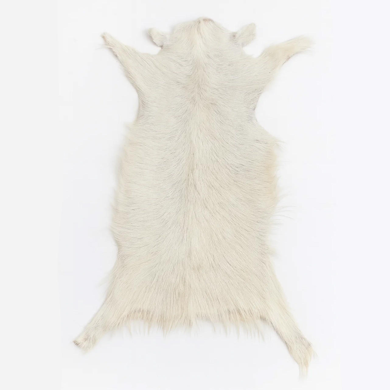 FELL Ziegenfell Eher Hell Naturfarben Teppich ca. 90 cm 1.Wahl - Hellgrau/Weiß, Fell (50/90cm) - Provellus