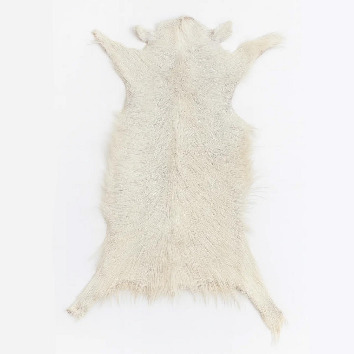 FELL Ziegenfell Eher Hell Naturfarben Teppich ca. 90 cm 1.Wahl - Hellgrau/Weiß, Fell (50/90cm) - Provellus