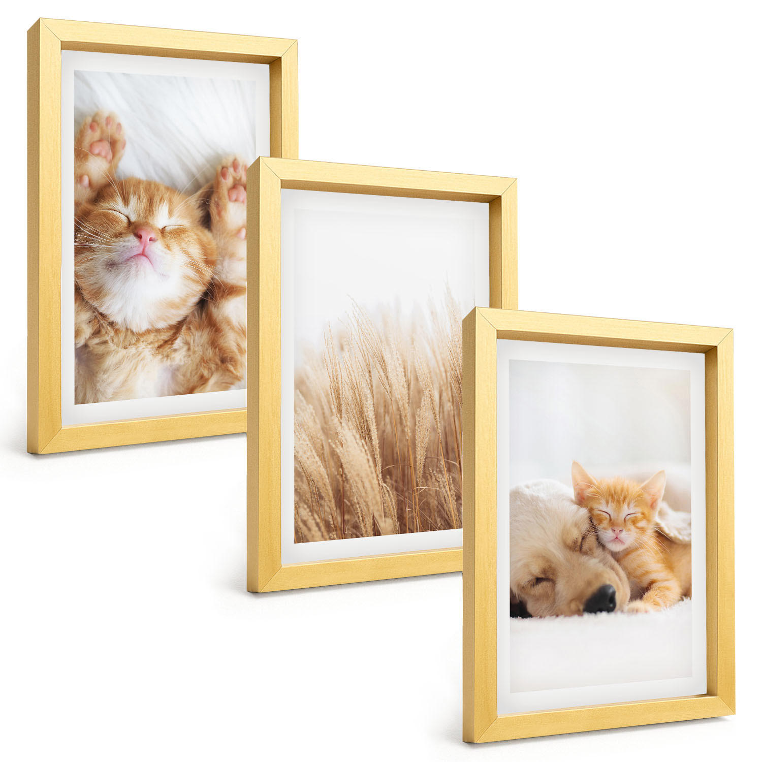 BILDER SET 3er Set - 20x30 cm Goldrahmen - Niedliche Tiere, Katzen, Hunde, Boho-Stil - Goldfarben, Kunststoff (20/30cm) - TULUP