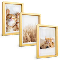 BILDER SET 3er Set - 20x30 cm Goldrahmen - Niedliche Tiere, Katzen, Hunde, Boho-Stil - Goldfarben, Kunststoff (20/30cm) - TULUP