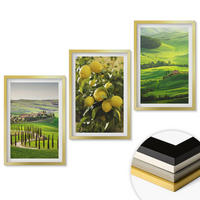 WANDBILDER 3er Set - 40x60 cm Goldrahmen - Italienische Zitrusfrüchte und Hügel - Goldfarben, Kunststoff (40/60cm) - ArtPrintCave