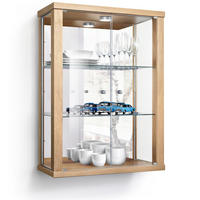 HÄNGEVITRINE 25/60/80 cm mit Spiegel, LED & 2 höhenverstellbaren Glasböden - Transparent/Silberfarben, Glas/Holzwerkstoff (60/80/25cm) - K-Möbel