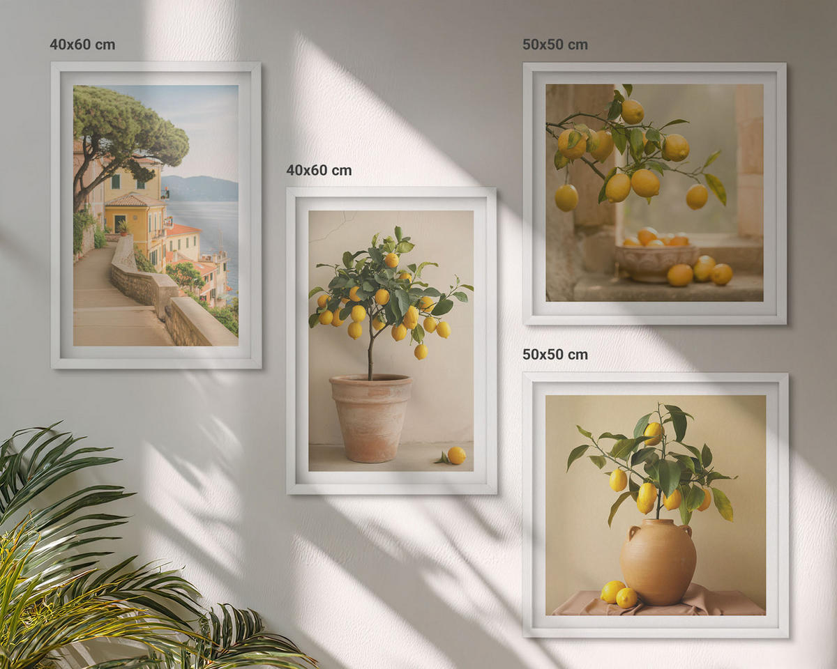 BILDER SET 4er Set - 50x50 cm & 40x60 cm Weißer Rahmen - Zitronenbäume im Topf - Weiß, Kunststoff (50/50cm) - TULUP