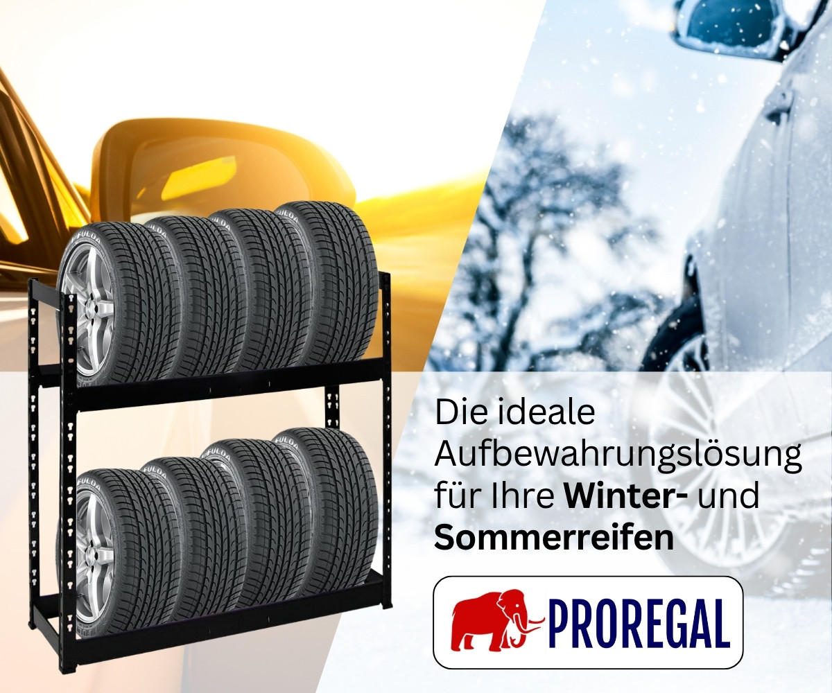 REIFENREGAL Tiger 100x110x35 cm 150 kg Fachlast bis zu 8 Reifen auf 2 Ebenen Schwarz - Schwarz, Metall (110/100/35cm) - PROREGAL