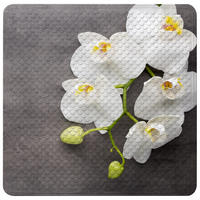 BADEMATTE Pretty - Grau, Kunststoff (53/53cm) - Sanilo