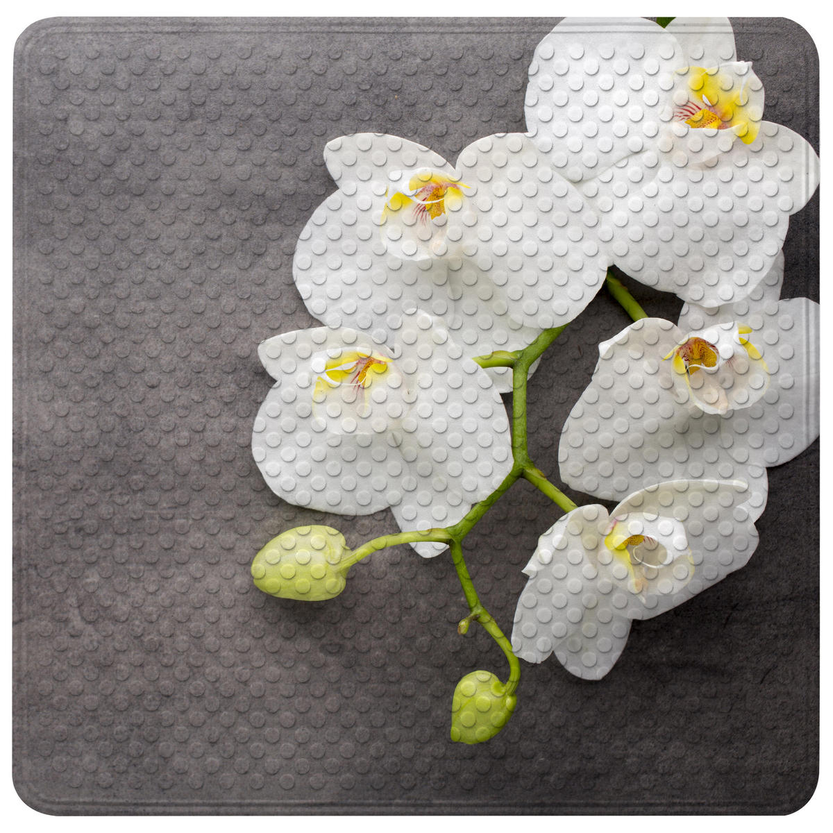 BADEMATTE Pretty - Grau, Kunststoff (53/53cm) - Sanilo