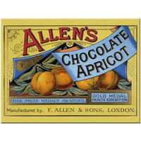 MAGNET 6/8 cm Chocolate Apricot - Multicolor, Metall (8/6/0.1cm) - Nostalgic-Art