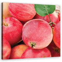 WANDBILD makro apple obst - Pink, Textil (50/50cm) - Feeby